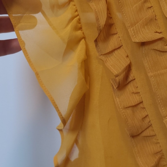 Banana Republic sheer top - Picture 4 of 8